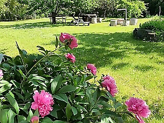 Tea Apartman Balatongyorok