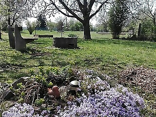 Sungarden Apartman Balatonlelle