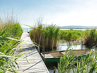Blue 4 Apartman Balatonfuzfo