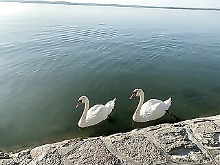 Baladise Apartman Balatonvilagos