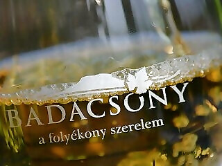 Fazekas Csaladi Apartman Badacsony