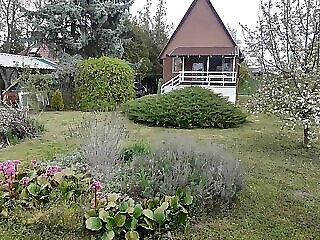 Pedro Lak Apartman Balatonkenese