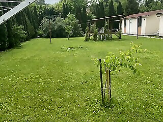 Napraforgo Apartmanok Balatonfuzfo
