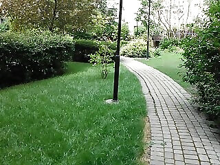 Csongor Apartman Budapest