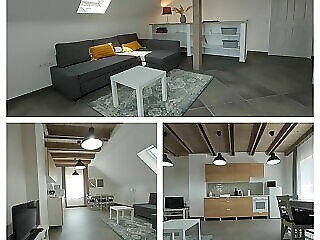 Tulipanfa Apartman Balatonszarszo
