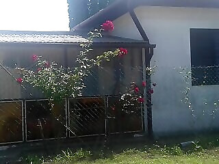 Csokonai Apartman Balatonfenyves