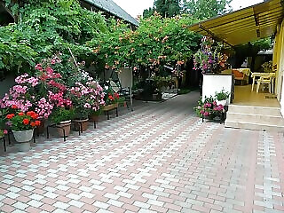 Muskatli Apartman Balatonmariafurdo