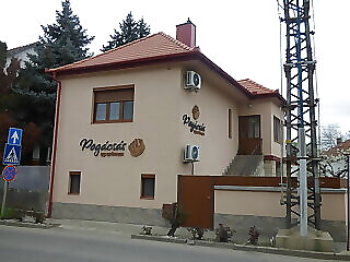 Pogacsas Apartman Tokaj