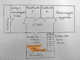 Sari Vendeghaz Csopak