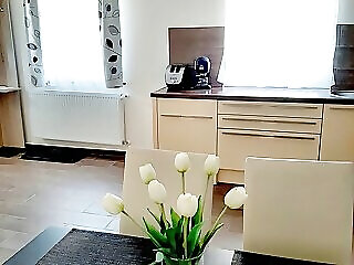 Elixir Apartman Villany