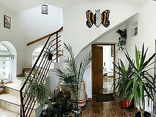 Joker Villa Apartmanhaz Heviz