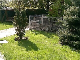 Napfeny Apartman Nyiregyhaza