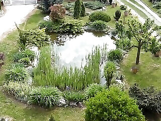 Nemeth Apartmanok Zalakaros