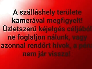 Rovin Apartman Siofok