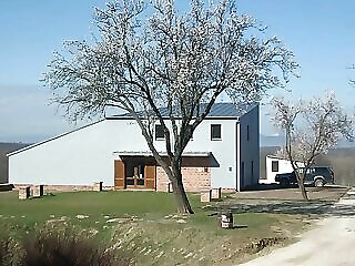 Pocz Pinceszet Vendeghaz Balatonlelle