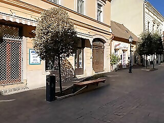 Feher Feszek Apartman Pecs