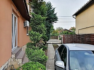 Luxury Vendeghaz Vecses