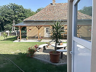 Ezustfenyo Vendeghaz Sarospatak