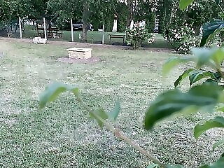 Feszek Apartmanok Tiszafured