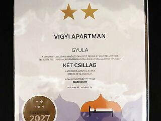 Vigyi Apartman Gyula