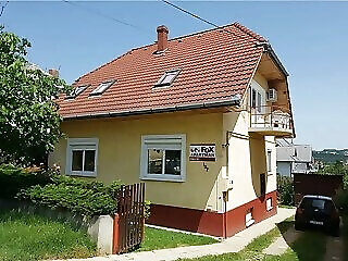 Fox Apartman Heviz