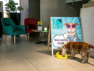 T62 Hotel Budapest