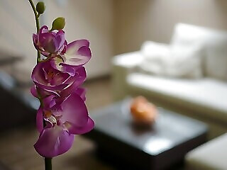 Royal Residence Apartments Gyula