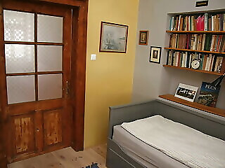 Green Tree Apartman Pecs