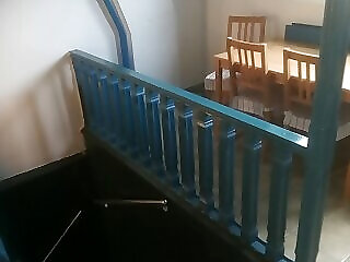 Fekete Macska Panzio Tata