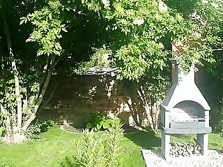 Pacsirta Apartman Gyula