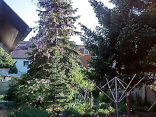 Dolmany Vendeghaz Sopron