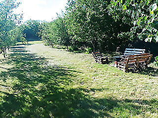 Szarvaslato Vendeghaz Sarospatak