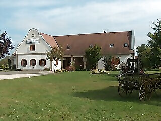 Borhaz Panzio Hajos Pincefalu
