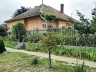 Napvirag Apartman Tiszafured