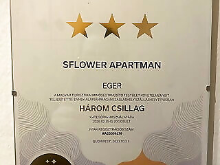 Sflower Apartman Eger