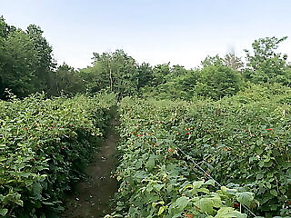 Malna Vendeghaz Egeraracsa