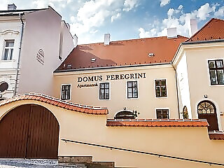 Domus Peregrini Apartmanok Gyor