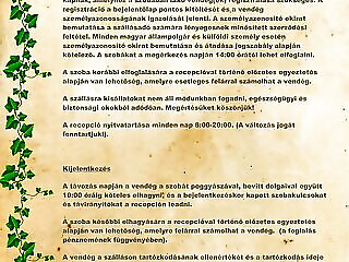 Borostyan Apartmanhaz Hajdunanas