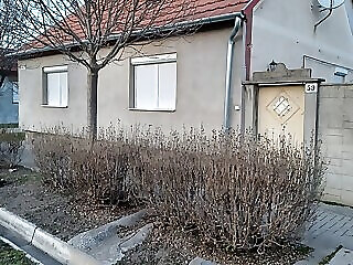Estike Apartman Mako