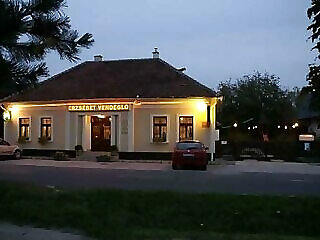 Erzsebet Vendeglo Fogado Balatonboglar