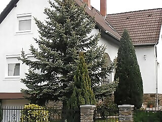 Ulrich Apartman Tihany