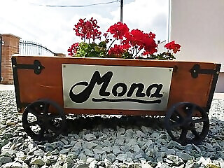 Mona Apartman Sarvar