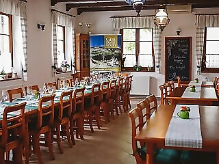 Diofa Panzio Bisztro Villany