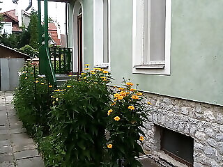 Orgona Vendeghaz Miskolc