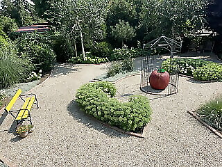 Dolce Vita Apartman Green Park Eger