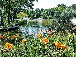 Bethere Apartman Debrecen