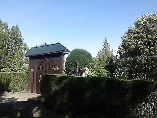 Szitakoto Vendeghaz Bucsa
