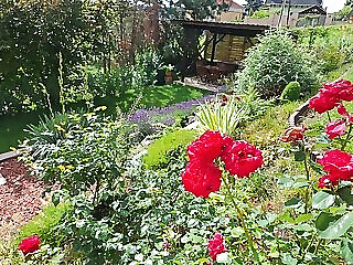 Happy Home Apartman Miskolctapolca