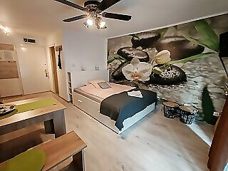 Orchidea Apartman Harkany