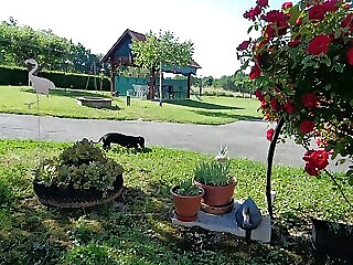 Nika Vendeghaz Az Orsegben Oriszentpeter